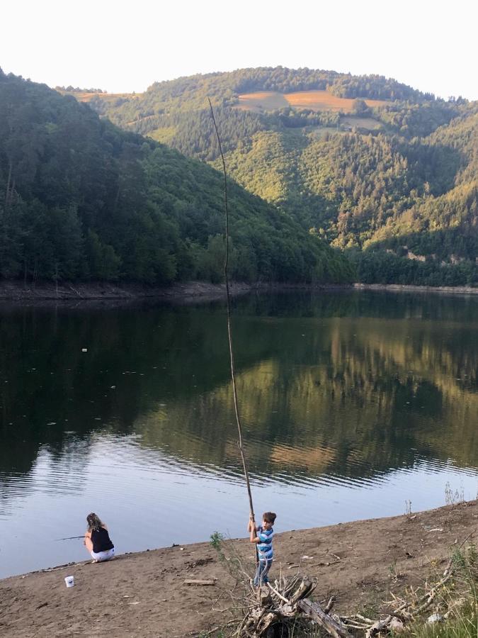 Cabana Baraj Apuseni Mountains Mihoesti Екстер'єр фото