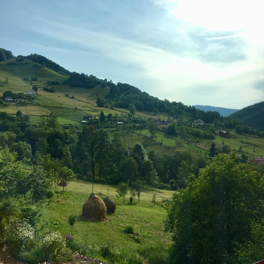 Cabana Baraj Apuseni Mountains Mihoesti Екстер'єр фото