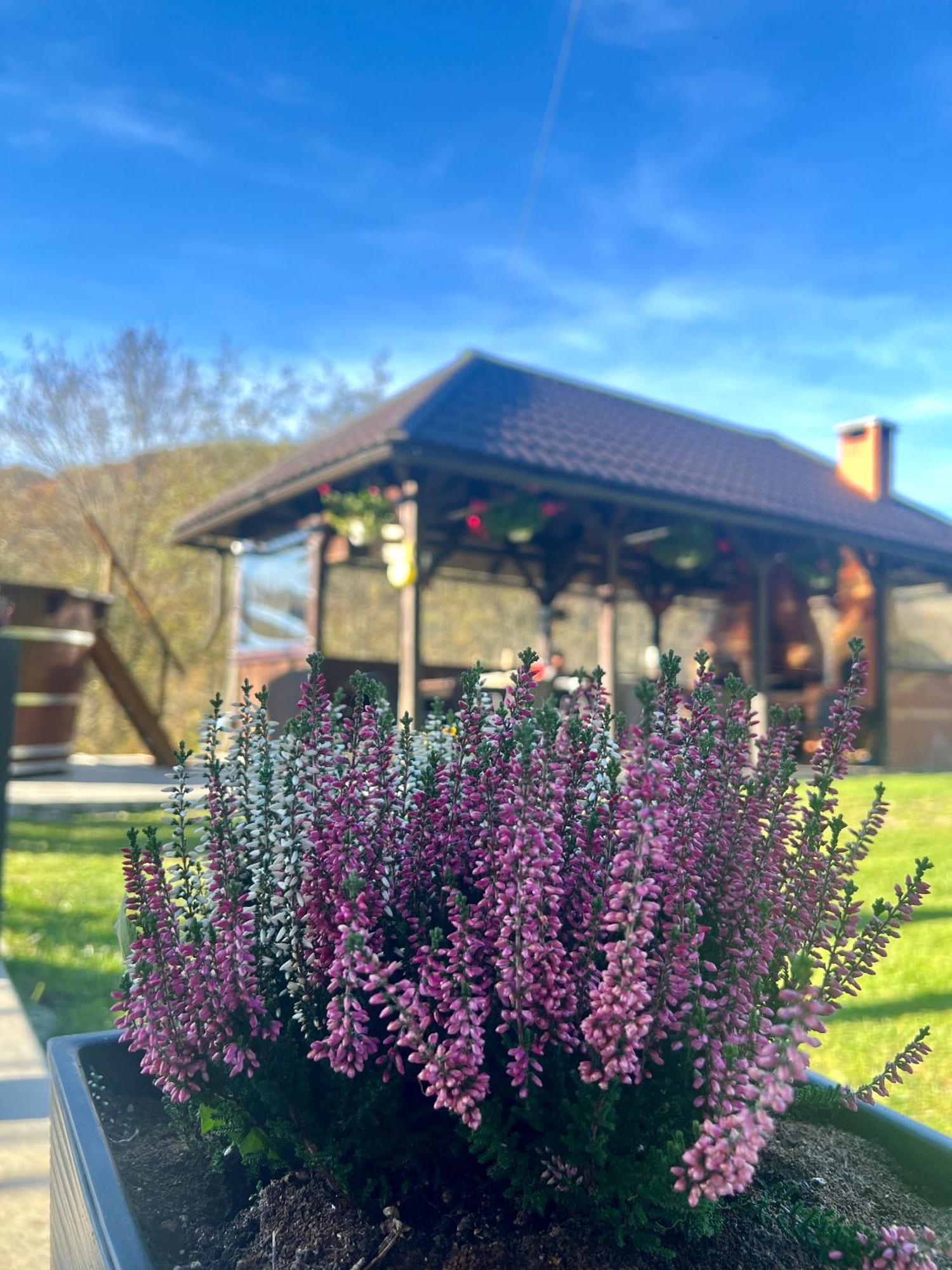 Cabana Baraj Apuseni Mountains Mihoesti Екстер'єр фото