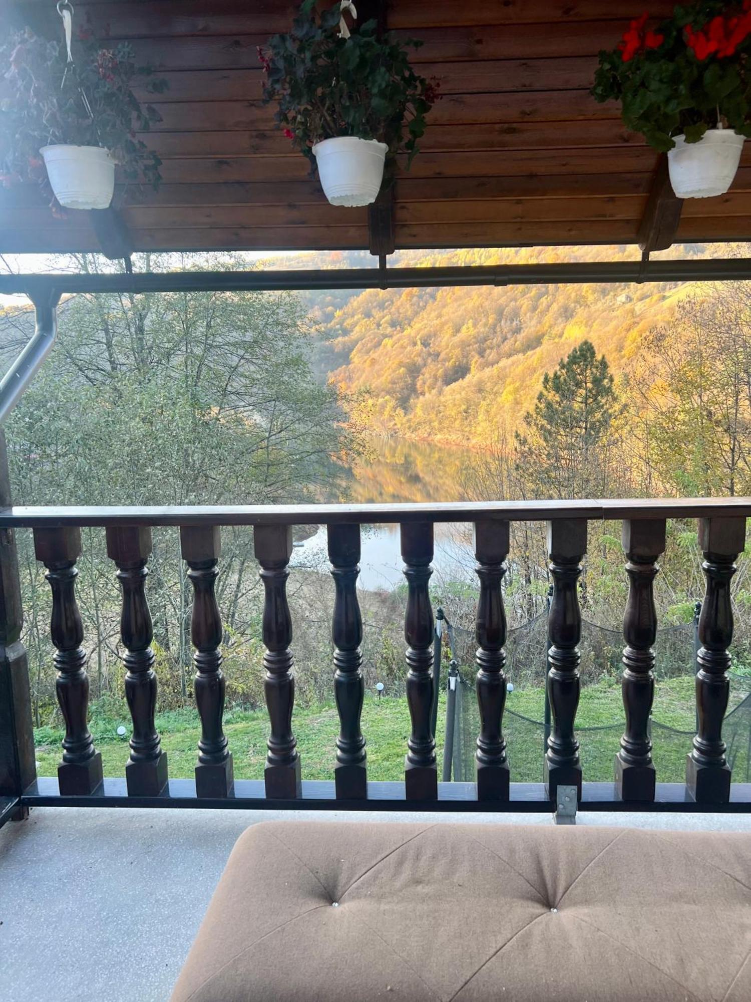 Cabana Baraj Apuseni Mountains Mihoesti Екстер'єр фото